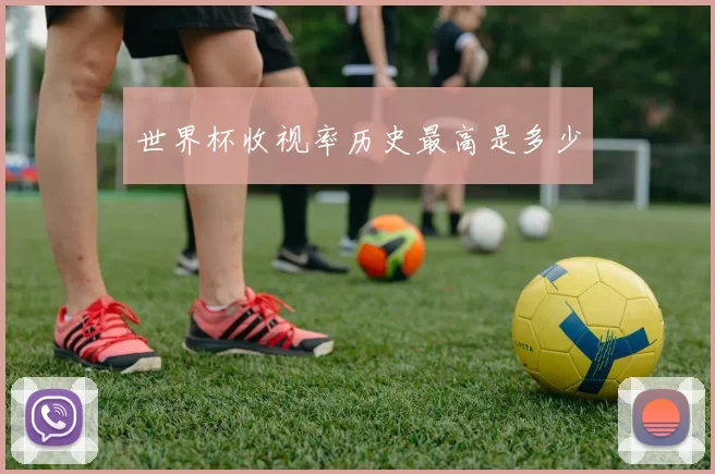 世界杯收视率历史最高是多少